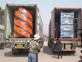 服務團隊 服務團隊